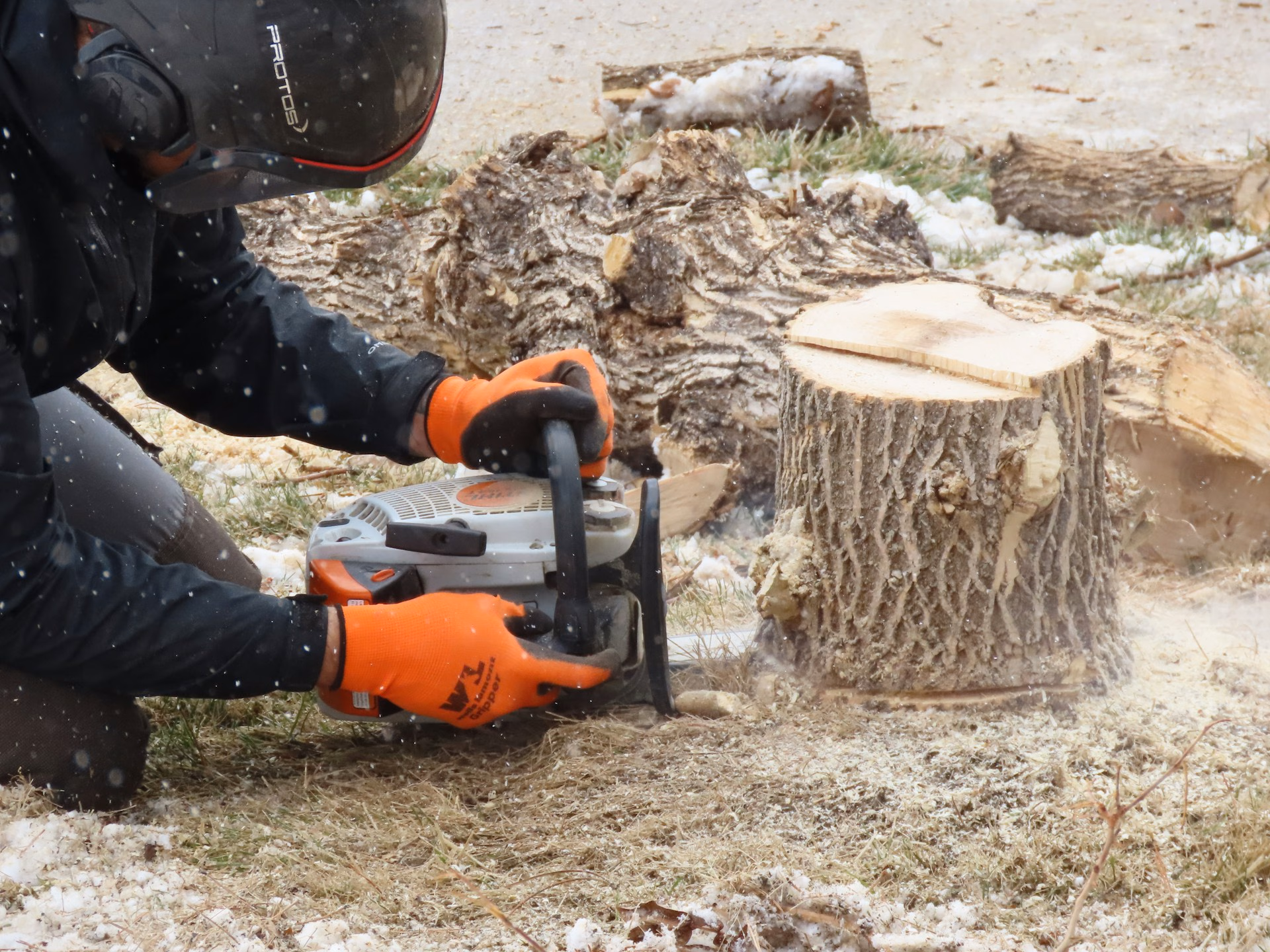 Person wearing helmet and orange gloves cutting a tree stump with a chainsaw outdoors.