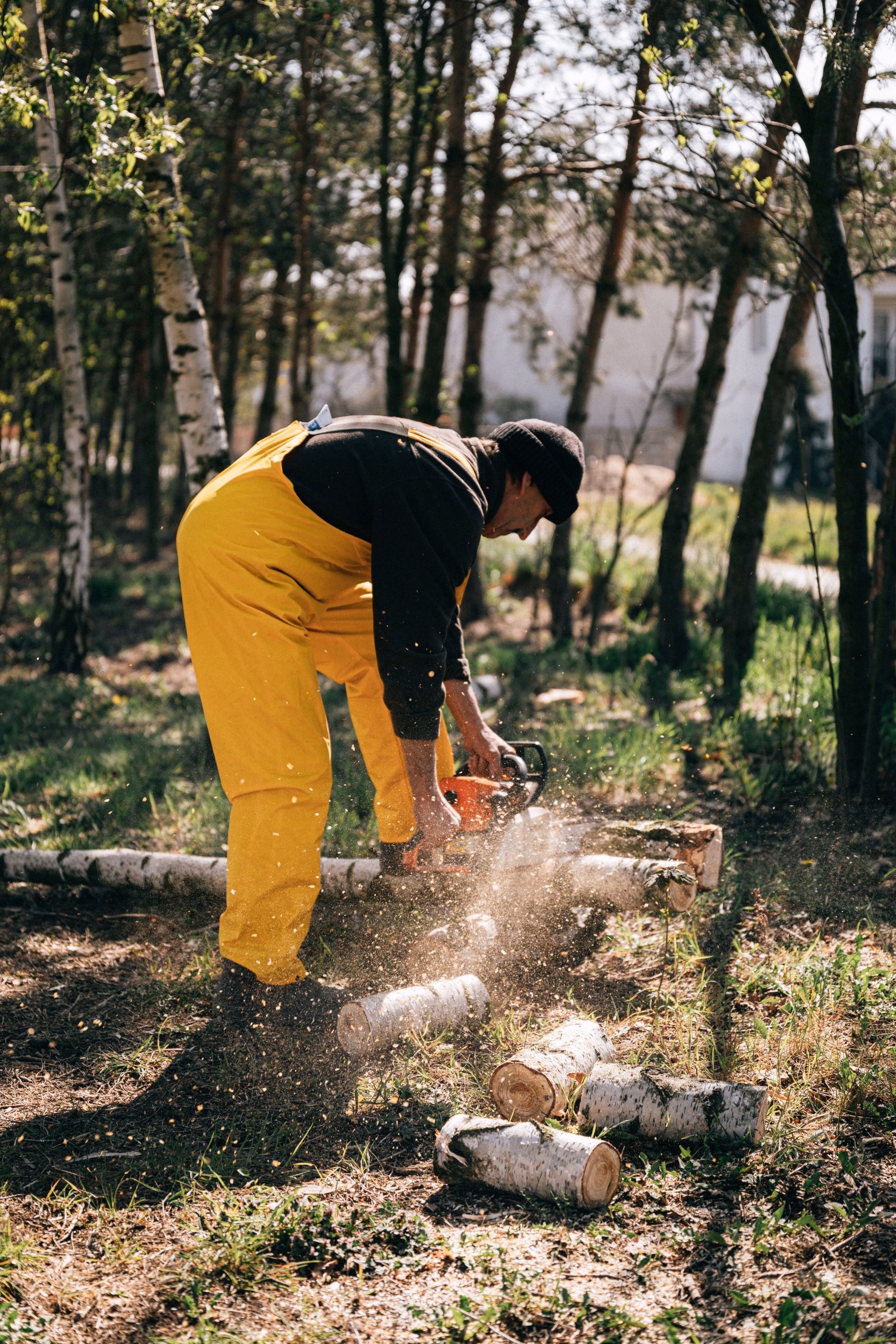 Person wearing yellow overalls using a chainsaw to cut logs in a wooded area.