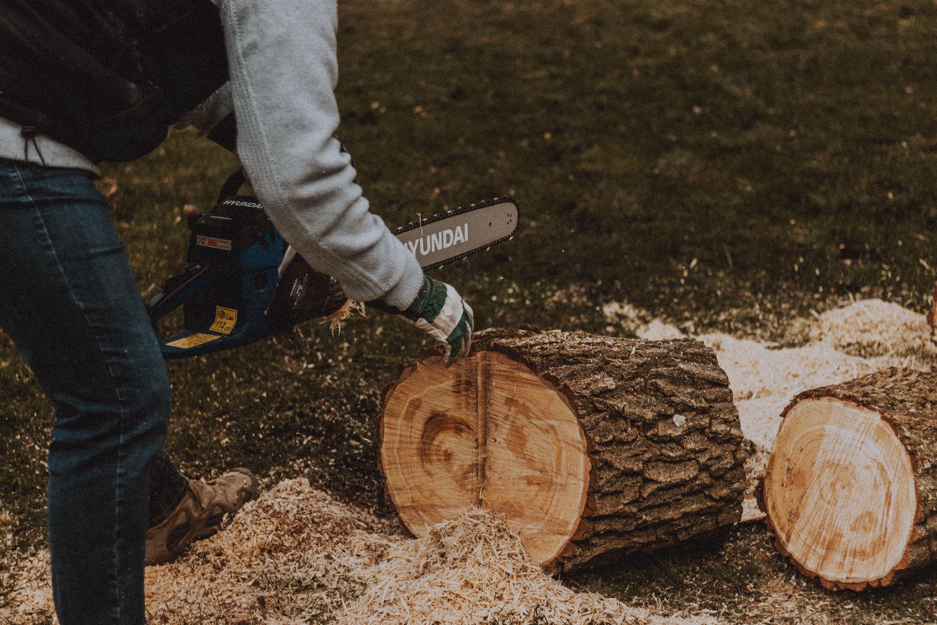 Person cutting thick wood logs outdoors with a Hyundai chainsaw on grass with sawdust around.