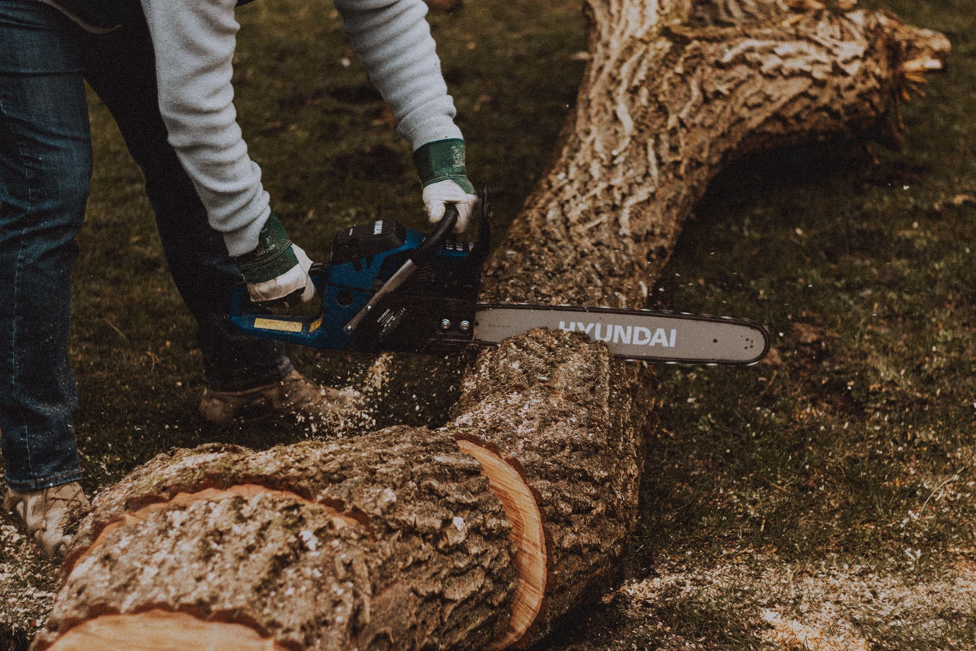 Person using a Hyundai chainsaw to cut a thick tree trunk outdoors.