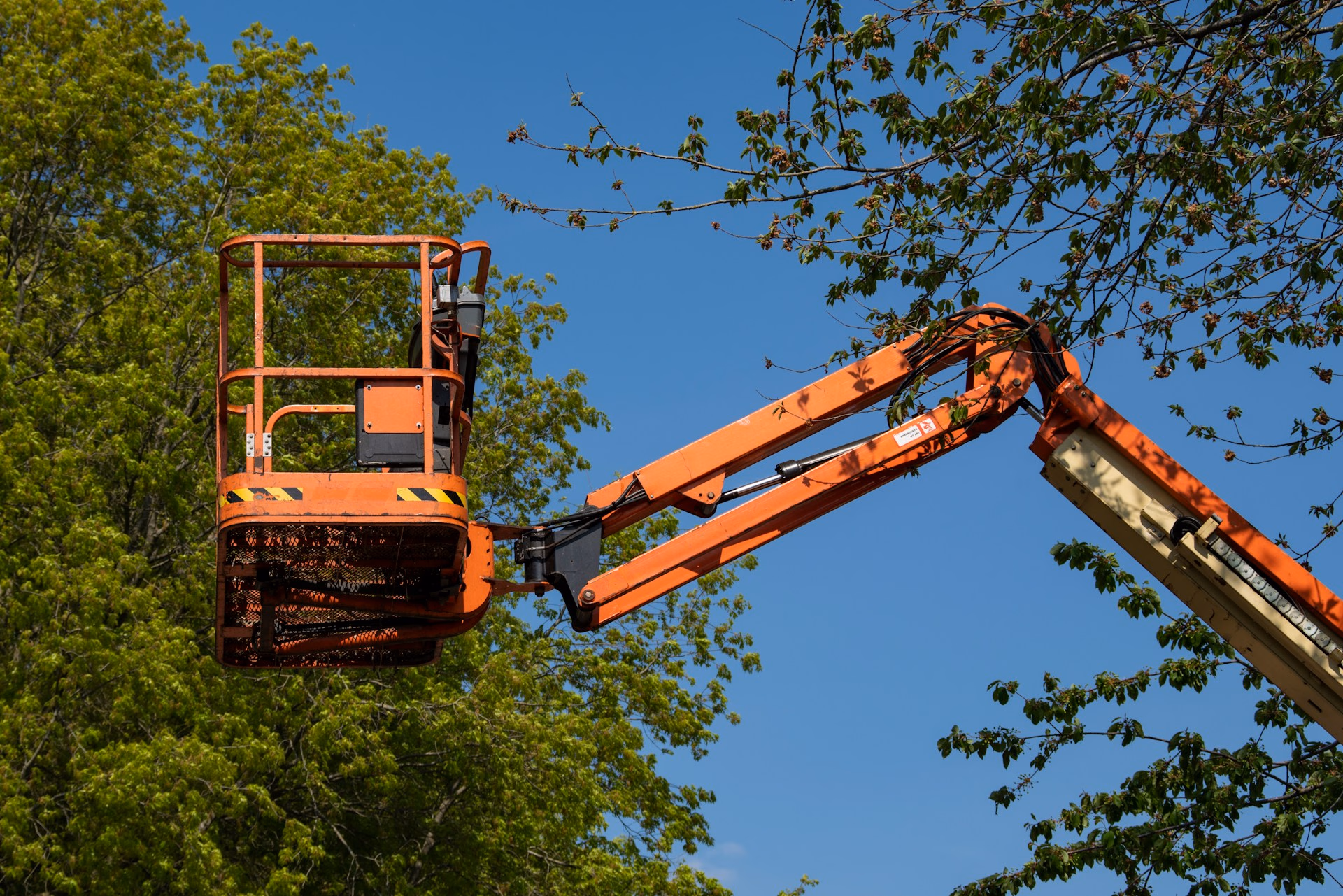 Orange aerial lift platform extended among green tree branches against a clear blue sky.